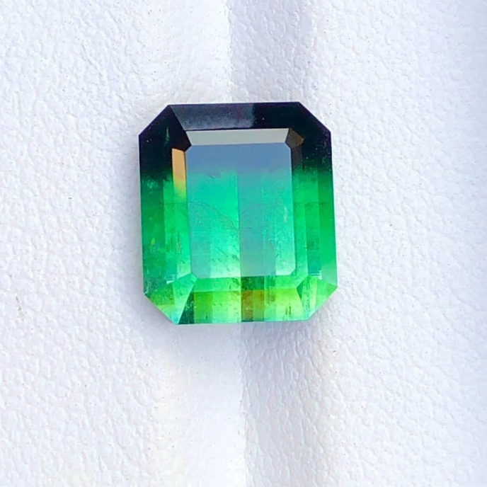 Bicolor Green and Black Tourmaline