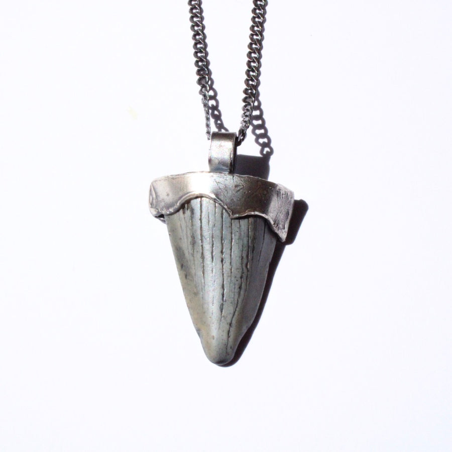 Shark Tooth Fossil Pendant- Small
