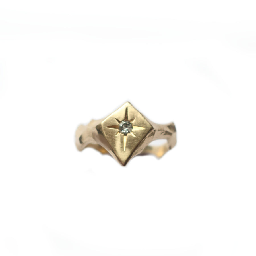 14k Yellow Gold Kite Signet - Mary Gallagher