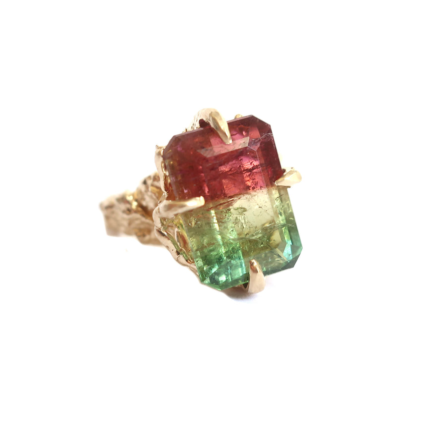 Tri Color Tourmaline Ring - Mary Gallagher