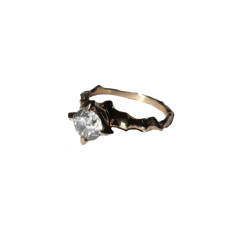 Salt and Pepper 14k gold Diamond Hecate Ring - Mary Gallagher